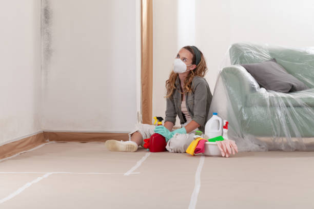 Reliable Mold Inspection contractor in Mohrsville, PA by WQB Mold Removal